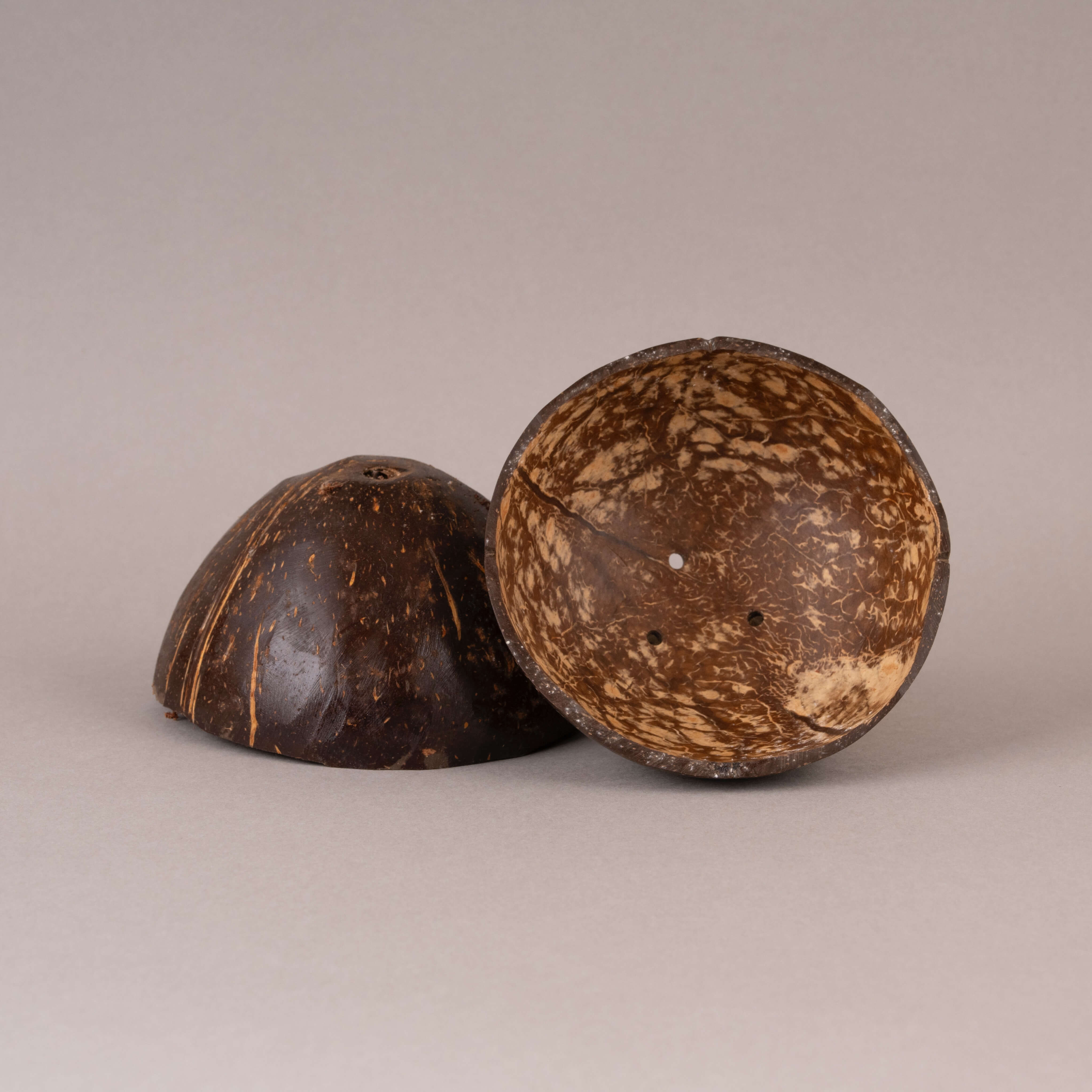 Coconut Shell Soap Dish